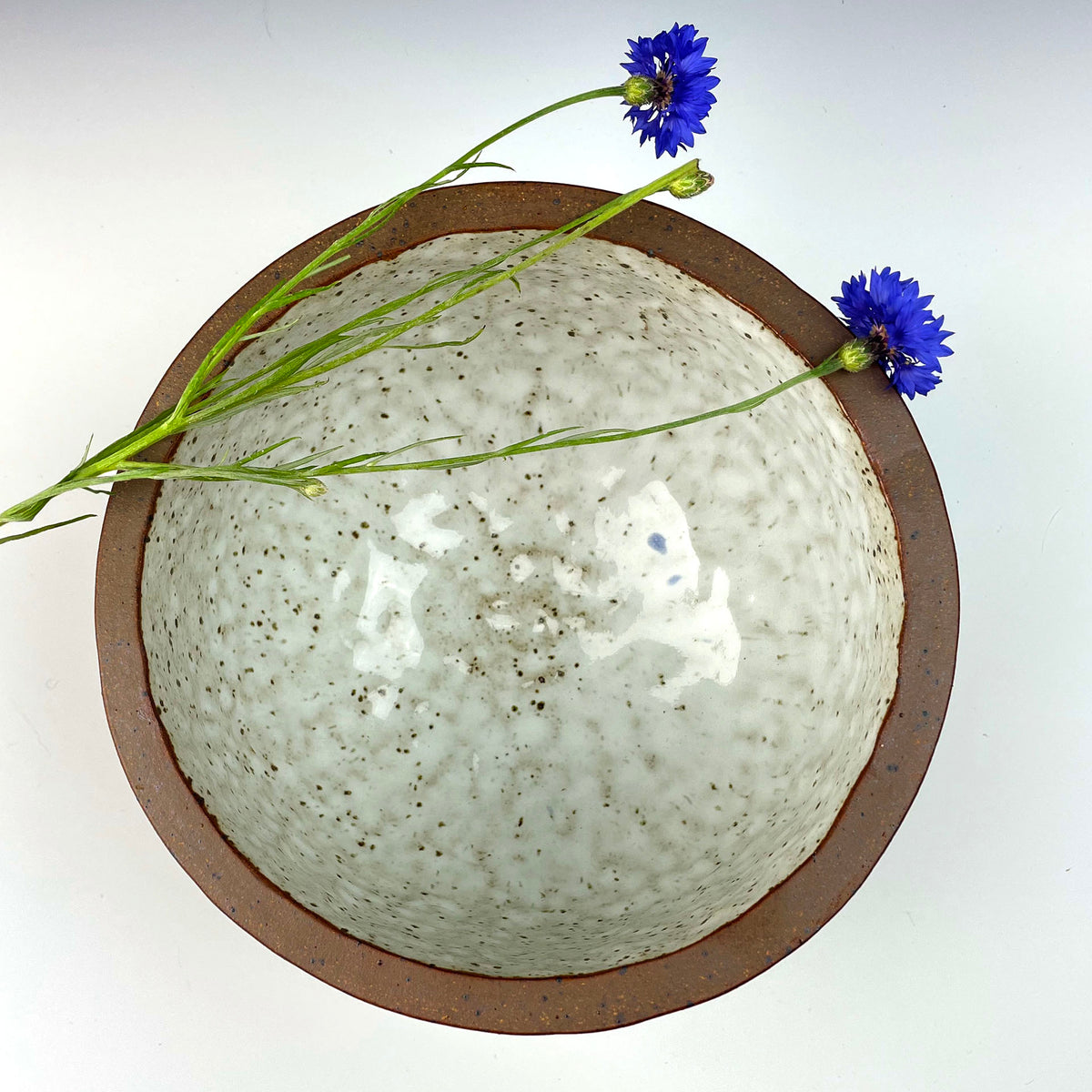 CRUCIBLE Bread Bowl in Nutmeg White Glaze BlackTree Studio Pottery