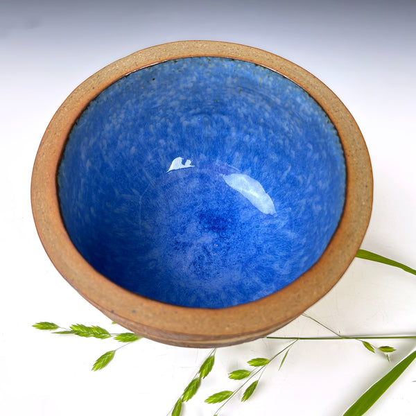 A ceramic bowl with a textured blue interior and a natural tan clay rim, photographed from a top-down angle on a white background with delicate green plant stems around the base.