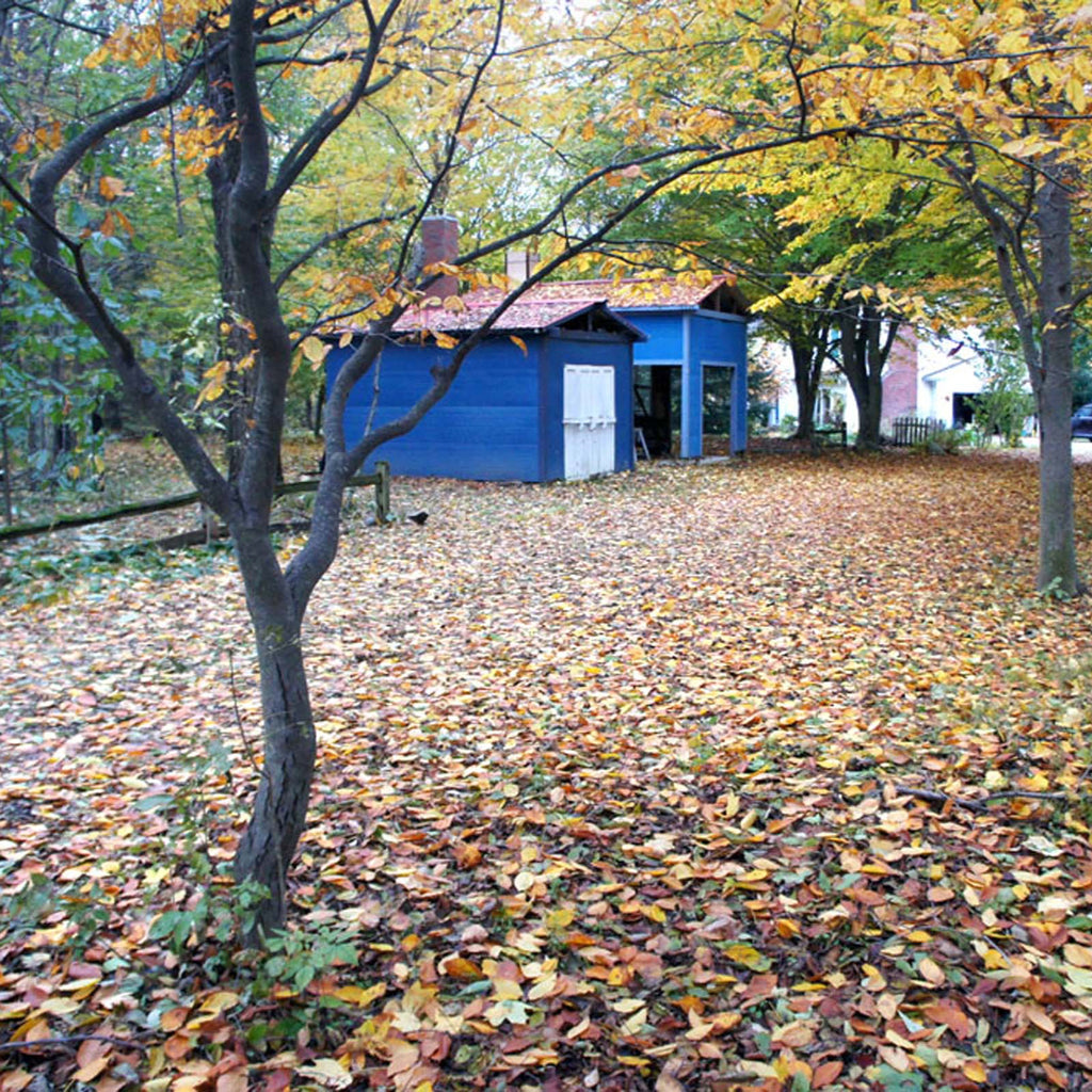 pottery kilns with colorful fall leaves all around