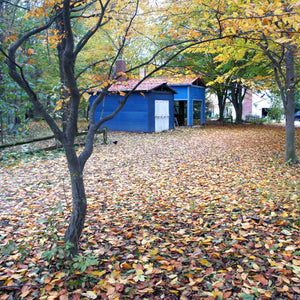 pottery kilns with colorful fall leaves all around