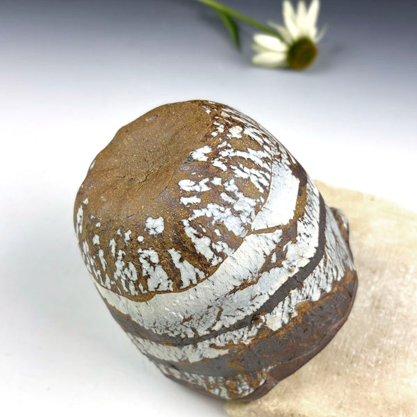 A natural polished stone or mineral specimen with concentric bands of brown, white, and gray, displayed on a light surface with a small white flower in the background.