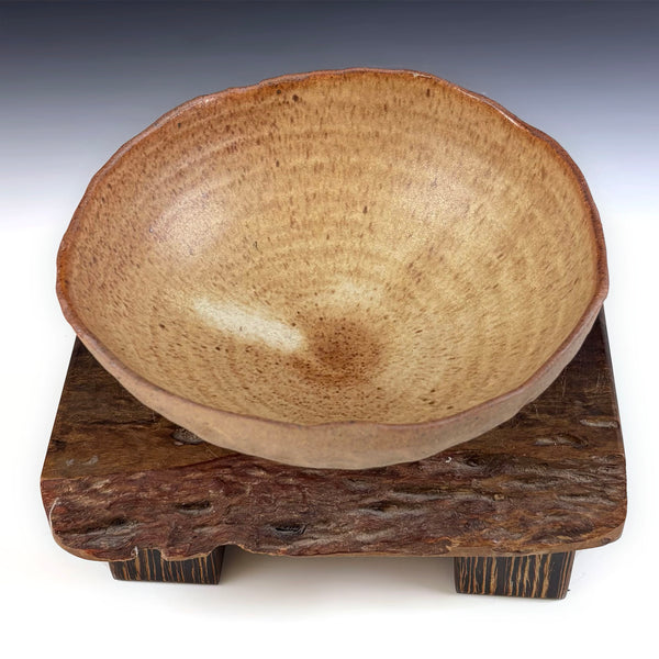 Shell Bowls