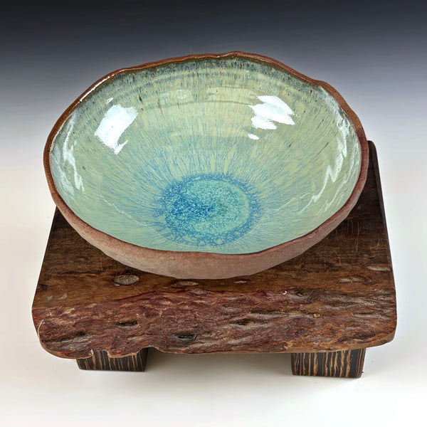 Shell Bowls