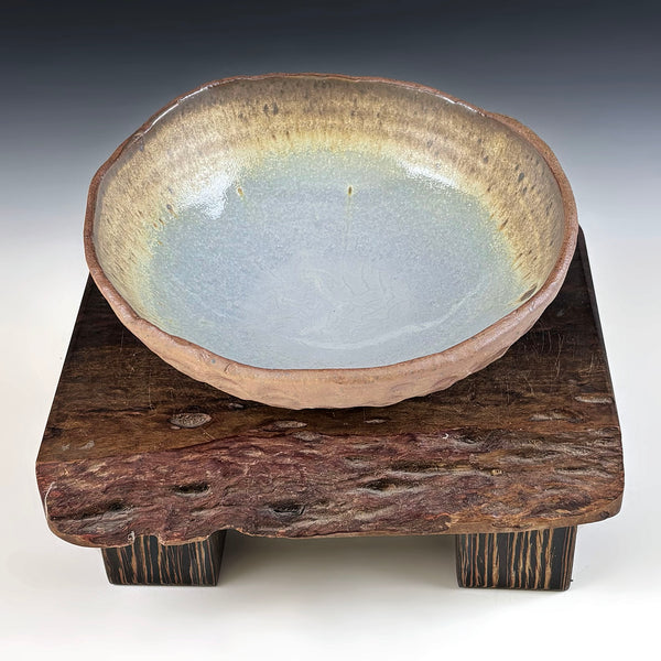 Shell Bowls