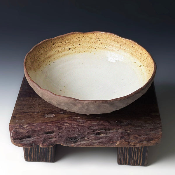 Shell Bowls