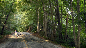 Person walking on a dirt path through a forest with tall trees